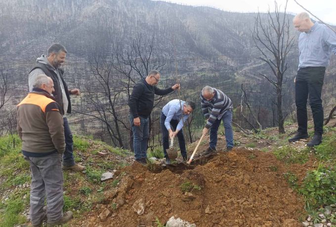 Χρίστος Δήμας: «Φύτεψε μια καστανιά, για την Καστανιά!» – Συμβολική δράση αναδάσωσης στην Κορινθία [Βίντεο]